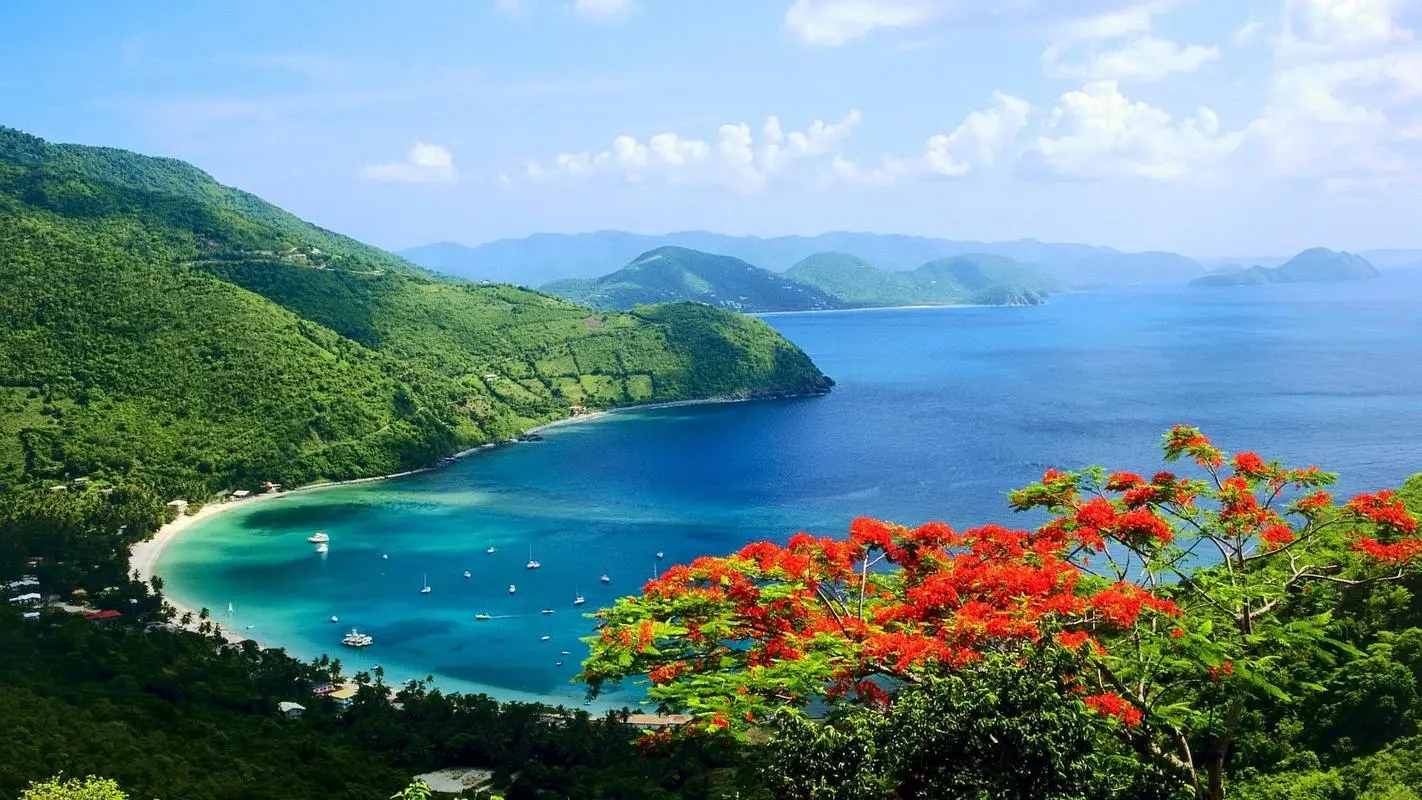 稳定性高效智能系统